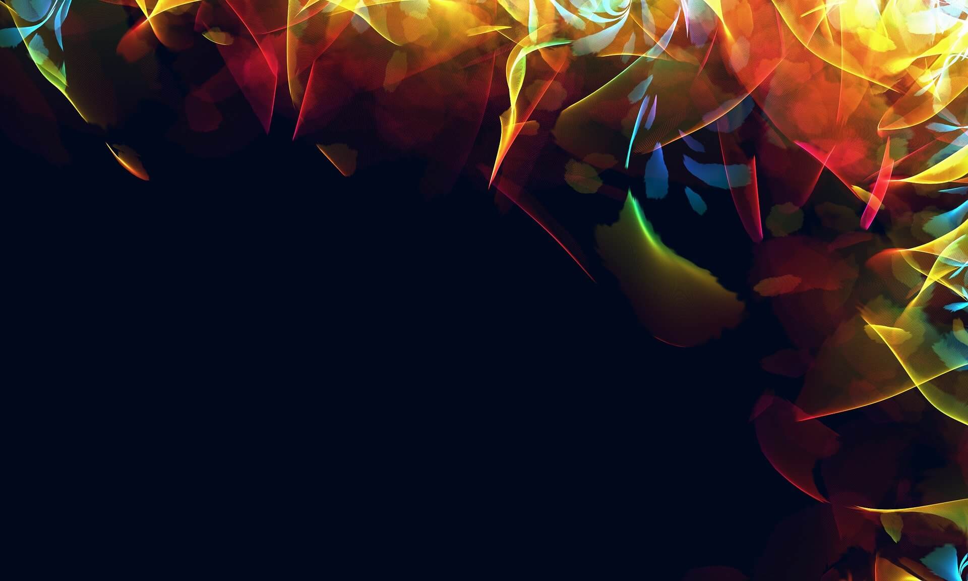 Digitale Fakten 2024 Dezember Edition